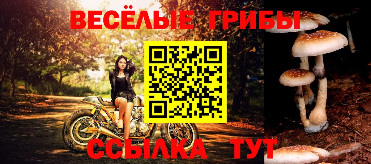 Галлюциногенные грибы мицелий Кохма